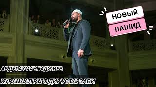 Абдурахман Гаджиев | \