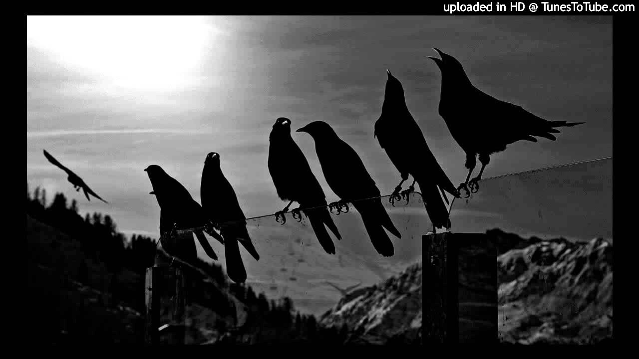 Watch Gremlinz & Paragon - Oranda VIP on YouTube Watch Gremlinz & Paragon - Oranda VIP on YouTube