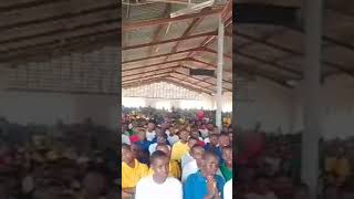 Mackintosh Jr. (12) playing Acoustic guitar at MerryLand school Entebbe. 2024