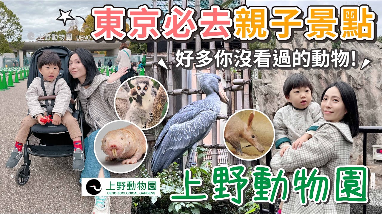 東京必去親子景點特輯！上野動物園12歲以下免費～好多動物你沒看過！好吃好玩又有趣【PIN命💗VLOG】