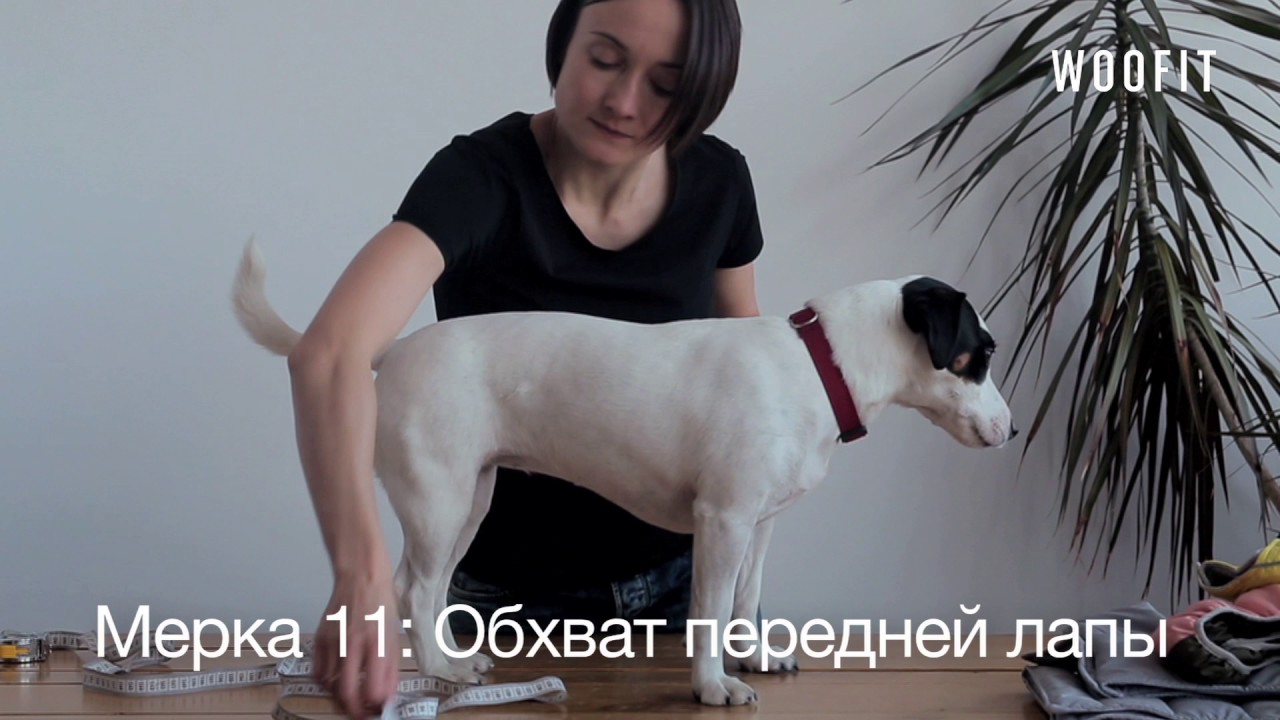 Как правильно снимать мерки