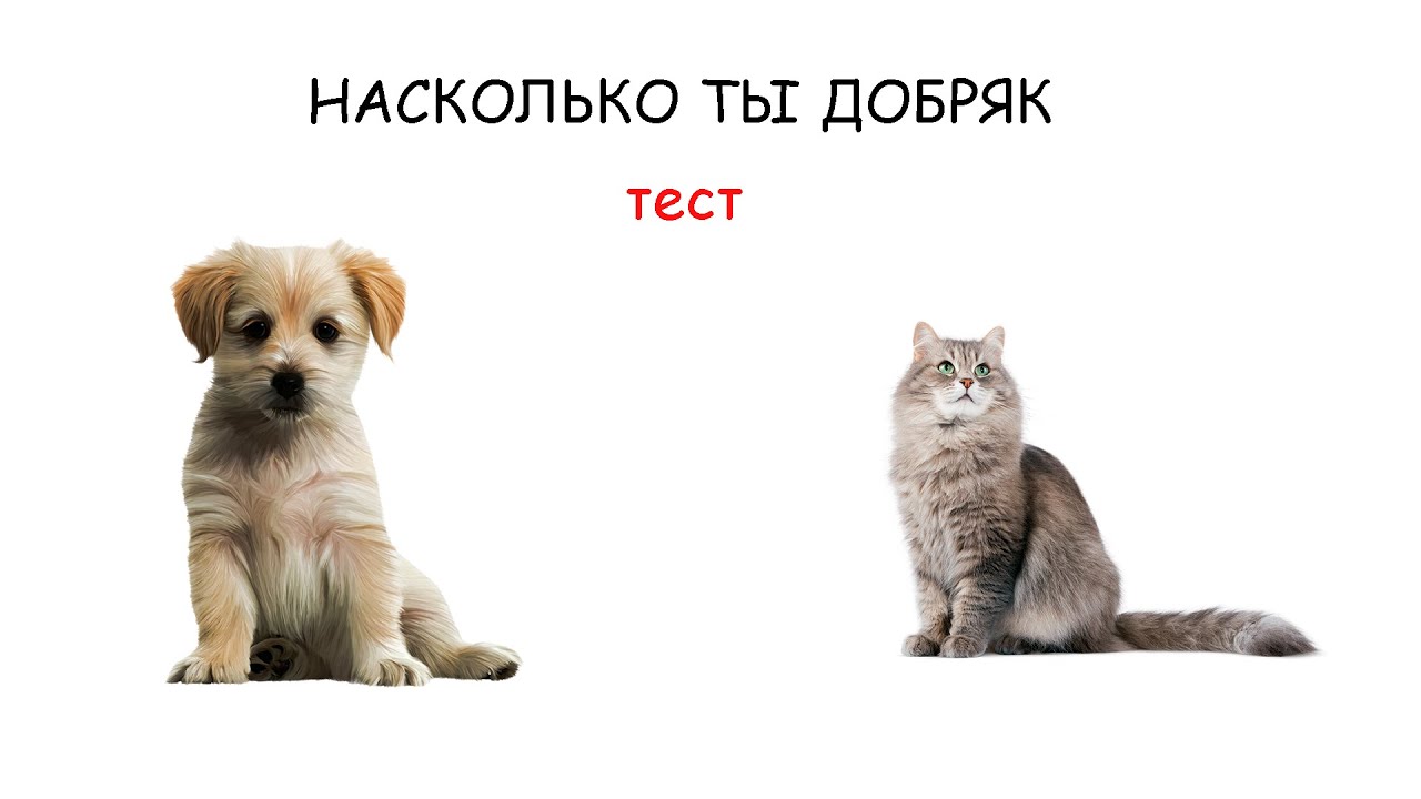 Тест насколько ты добрый