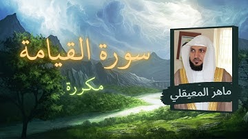 سورة القيامة مكررة القارئ ماهر المعيقلي