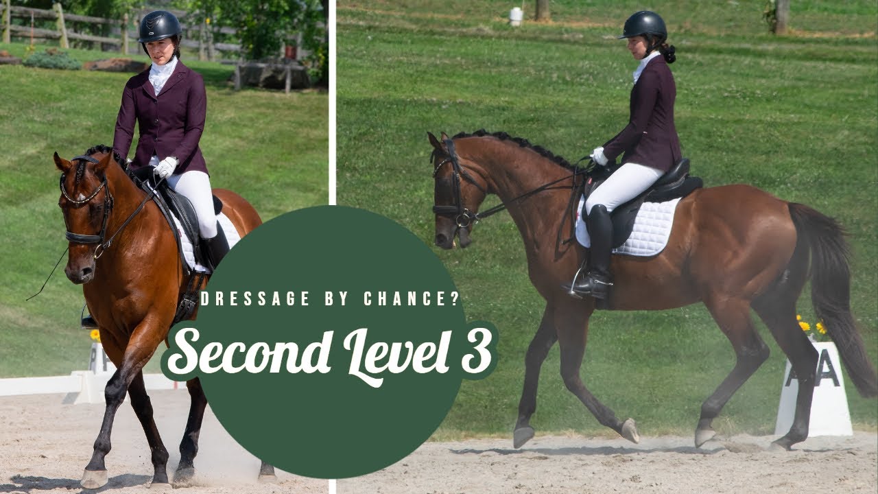Second Level Test 3 Dressage By Chance YouTube