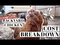 HOW MUCH DO BACKYARD CHICKENS COST? | Suburban Poultry Price Breakdown | Homestead Laying Hens Care