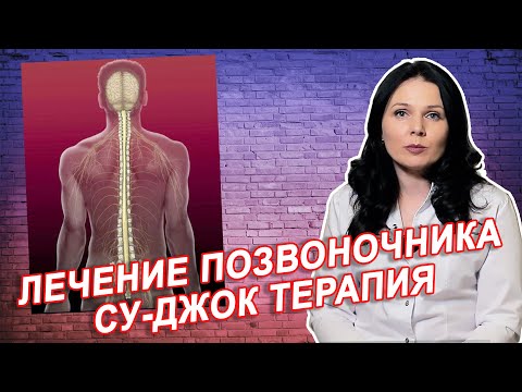 ЛЕЧИМ ПОЗВОНОЧНИК СУ-ДЖОК