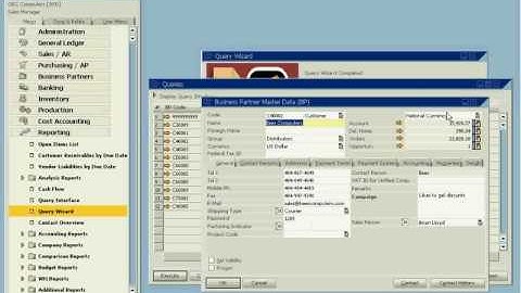 SAP Business One Custom Reports Review