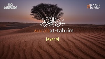 Surah At-Tahrim سورة التحريم ayat 8 (10X Pengulangan) - Metode Ummi #untukhafalan