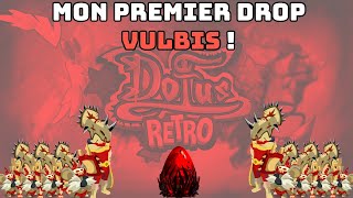 J'ai drop MON PREMIER DOFUS VULBIS après avoir eu un coup de fil avec une voyante #dofus #dofusretro