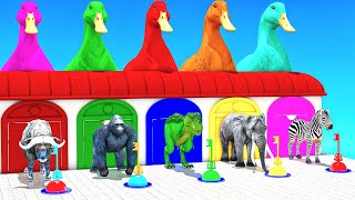 Long Slide Game With Cow Elephant Gorilla Hippopotamus Tiger 3d Animal Game Funny 3d Animals