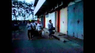 Kupu kupu malam-aan kdi