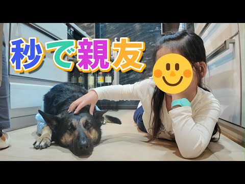 初対面で怖がっていた娘ちゃんが、一瞬で愛犬と親友になりましたｗ