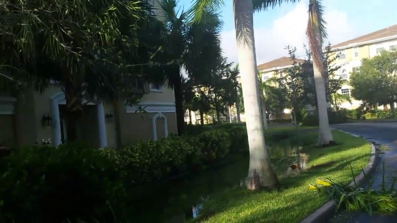 Irma Aftermath Fort Myers FL. 10041 Lake Cove Drive. Aka Fishermans