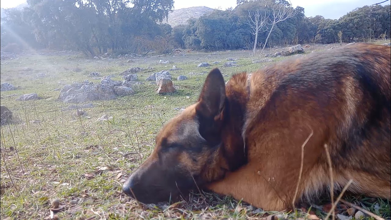 Investigación forense.🤔