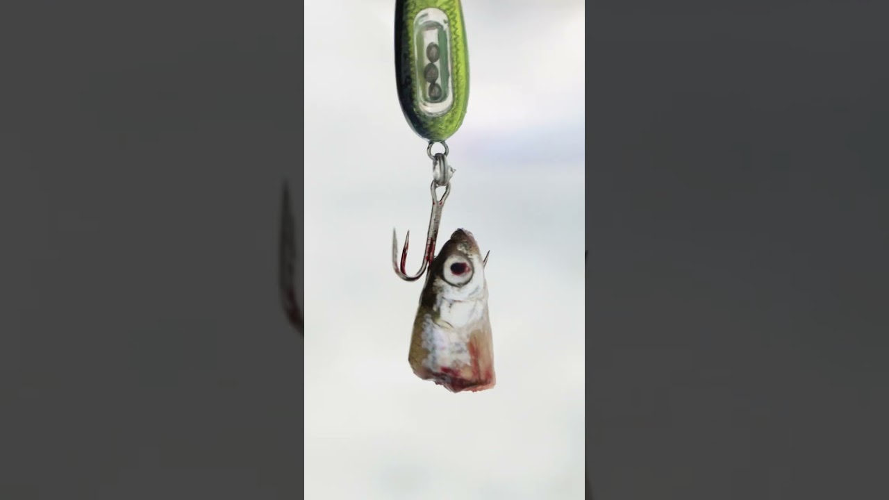 4 Steps to Ice Fishing Perch