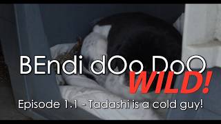 Bendi Doo Doo Wild - Episode 1.1 - Mister Tadashi-San Had A Hair Cut And Now Hes A Cold Guy