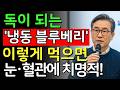 냉동 블루베리, 이렇게 먹으면 오히려 독이 됩니다. 60대 이상 10명 중 7명이 모르는 매일 무심코 먹는 치명적인 실수 4가지|시니어건강