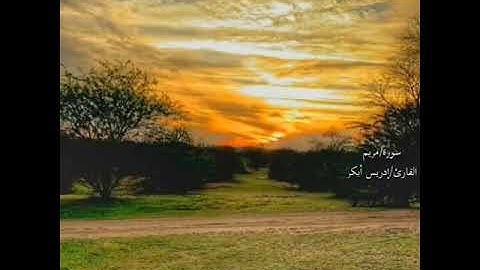إدريس أبكر..سورة مريم.. اللهم اهدنا إلى صراطك المستقيم...🙌🏻🌸🌿