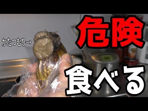 エスカルゴ 寄生 虫