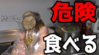 【寄生虫】危険な巨大かたつむりを食す【沖縄】 広東住血線虫 検索動画19 【寄生虫】危険な巨大かたつむりを食す【沖縄】 広東住血線虫 検索動画 19