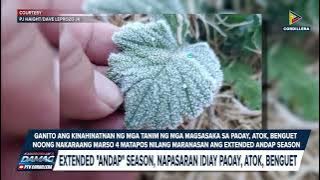 Extended 'andap' season, napasaran idiay Paoay, Atok,  Benguet
