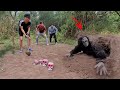 4 Boys Fierce Confront With Giant Gorilla Monster