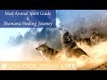 Meet your animal spirit guide hypnosis and shamanic healing journey for positive energy meditation