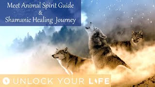 Meet Your Animal Spirit Guide Hypnosis and Shamanic Healing Journey for Positive Energy (Meditation)