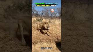 Just Wait Until The End