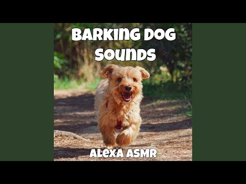 Sounds Of Dogs Barking Sounds Of Dogs Barking