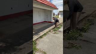 Satisfaction Monday #asmr #asmrsounds #cleanup #oddlysatisfying