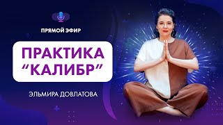 Практика "Калибр" с Эльмирой Довлатовой
