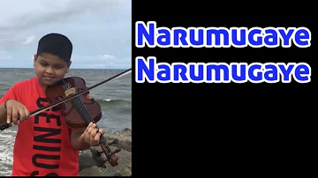 Narumugaiye | Violin Cover by NITIN D | IRUVAR | A.R.Rahman