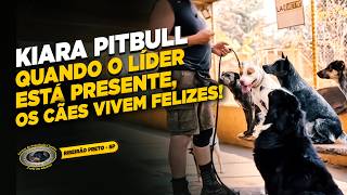 PITBULL — KIARA — SOCIALIZAÇÃO NÃO É BRINCADEIRA