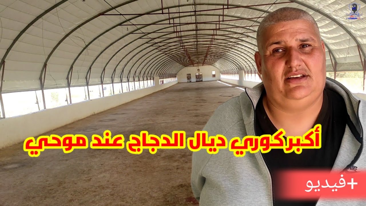 مشينا مع موحي عند أكبر كوري عندو ديال الدجاج والفلوس شوفو شنو قال على الفلوس