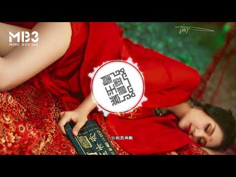 玺晨 - 青玉案 Lyrics「 每日歌曲推荐 #232」#歌曲的歌词