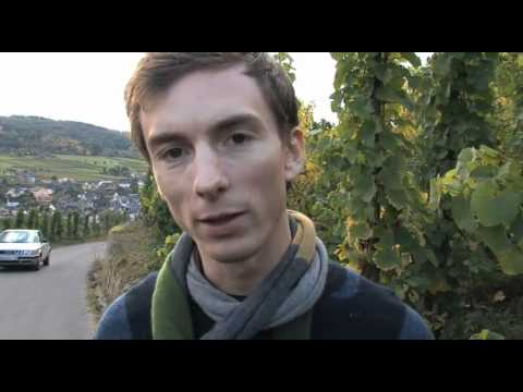 koweingut Rita und Rudolf Trossen.mov