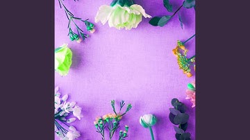 Sprightly Backdrops for Recap Days