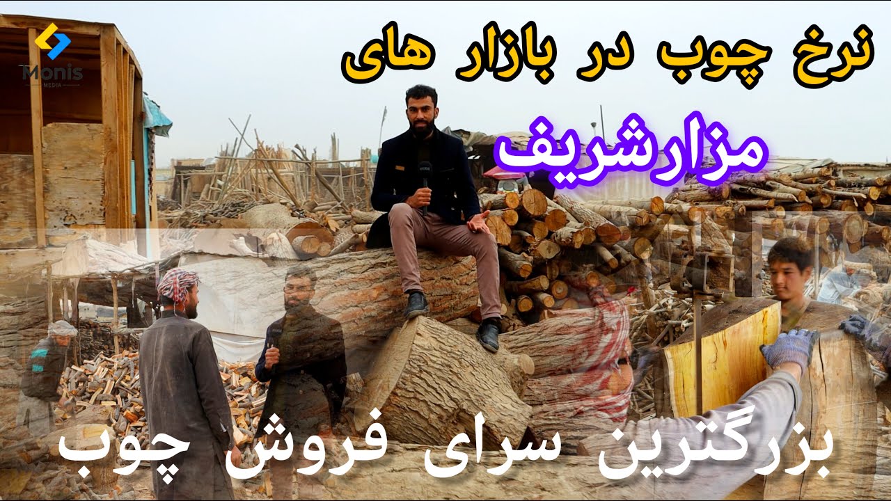 بزرگترین سرای فروش چوب | قیمت چوب در بازار های شهر مزارشریف 
