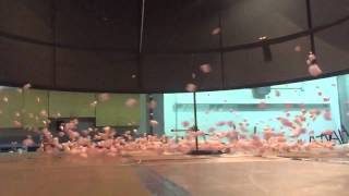 Iowa State Tornado Simulator
