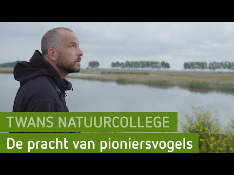 De pracht van pioniersvogels | Twans Natuurcollege