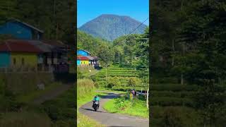 Story Wa Pemandangan Undah Di Pedesaan