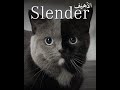 Slender _ By Arcwani # Unreal Engine 5 # Part02