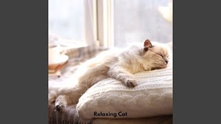 Soft Fur Relaxation Tones