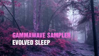 GammaWave Sampler - Relax And Clear Your Mind
