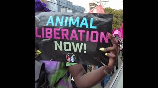 Here's what happened at the 2021 Animal Liberation Conference