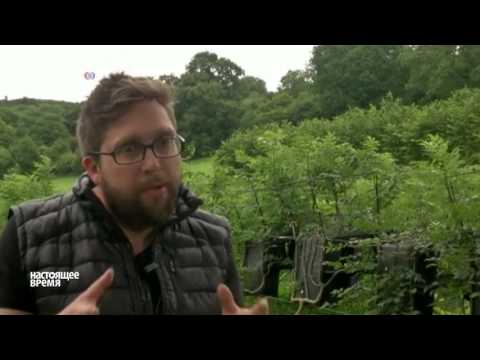 Эксклюзивная мебель: англичане выращивают столы и стулья в собственном саду