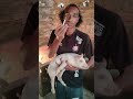 Aplicando Vitamina B12 En Cerdos Pequeños 🐷 #pig