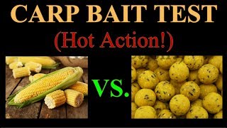 Fresh Corn vs. Pineapple Boilies - Best Carp Bait Test - Hot Action !!