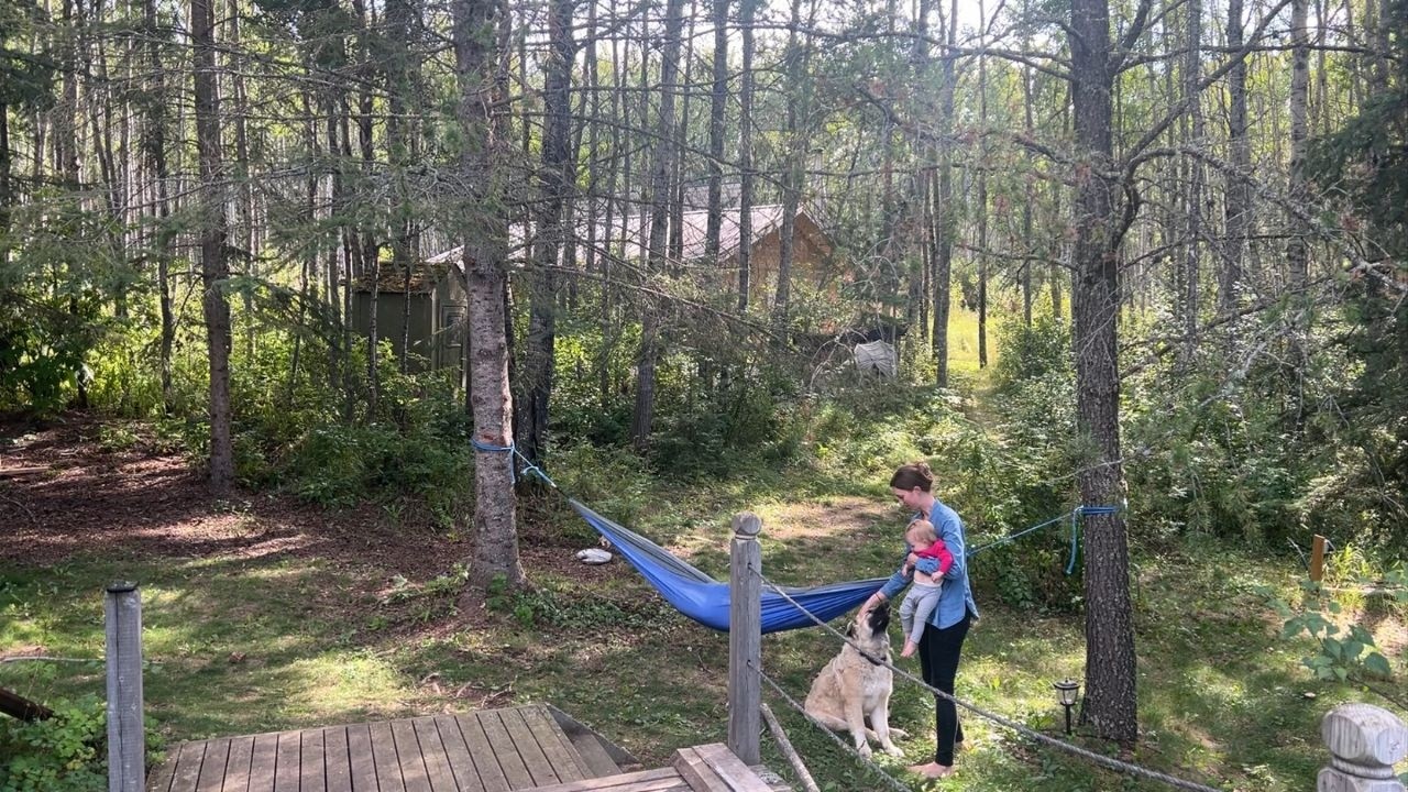 Late Summer Days at our Off Grid Cabin in the Woods - YouTube